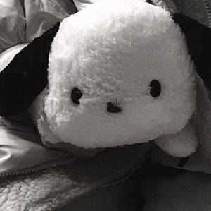 Meet your Posher, Jomy